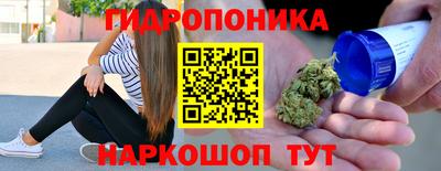 Альфа ПВП Пенза