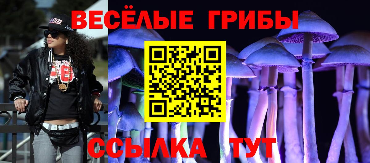 Славянск-на-Кубани  Псилоцибиновые грибы Cubensis  Вход с VPN 